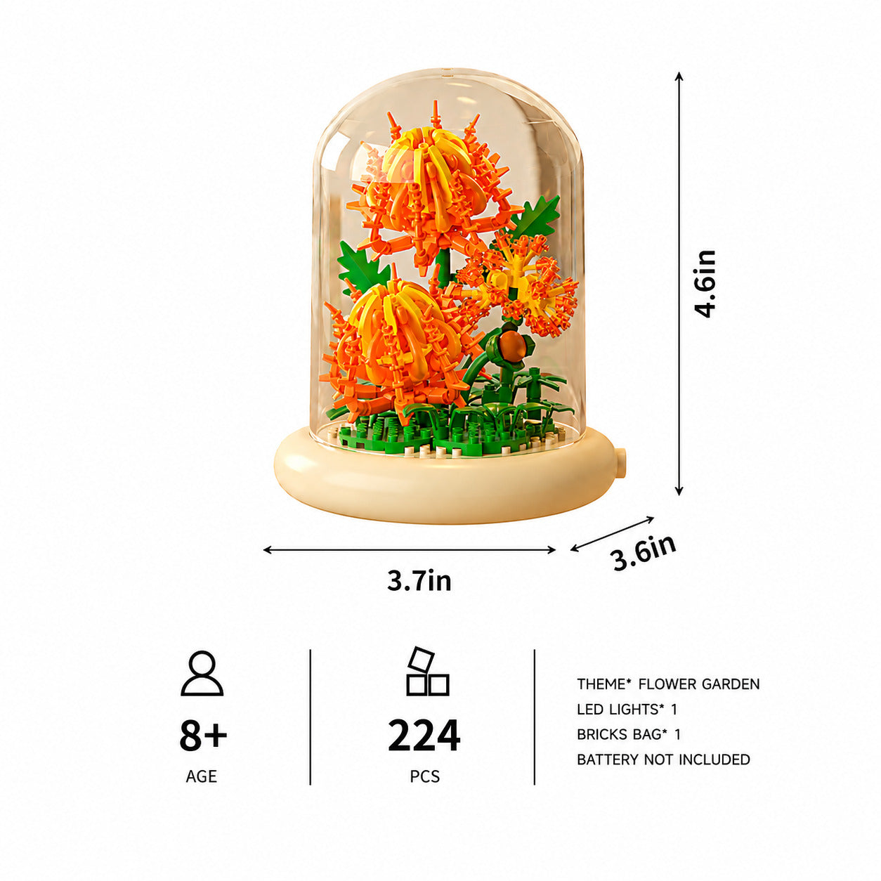 Chrysanthemum