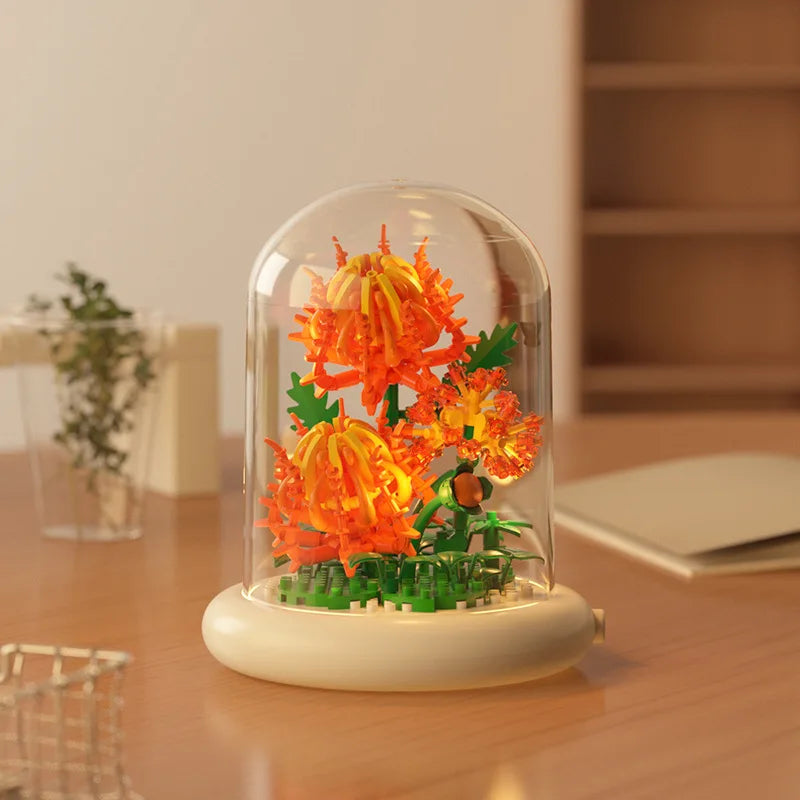 Chrysanthemum